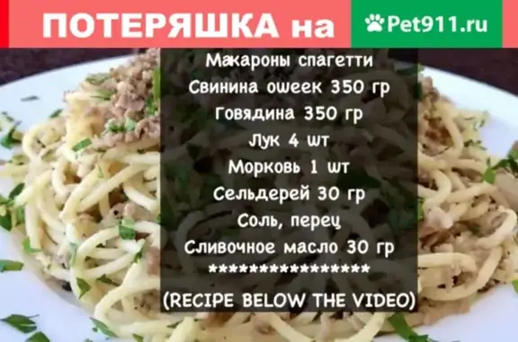 Собаки потеряшки, Волгоград, фото: Потеряшка такса на Эльтонской в Волгограде