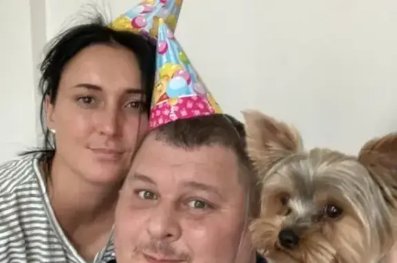 Собаки потеряшки, Нижний Новгород, фото: Потеряшка собака в Н. Новгороде: Автозаводский район, 10.06.2021, вознаграждение.