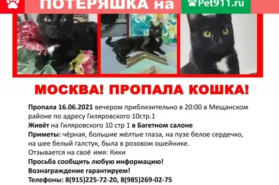 Пропала кошка на Гиляровского 10стр.1, Москва.