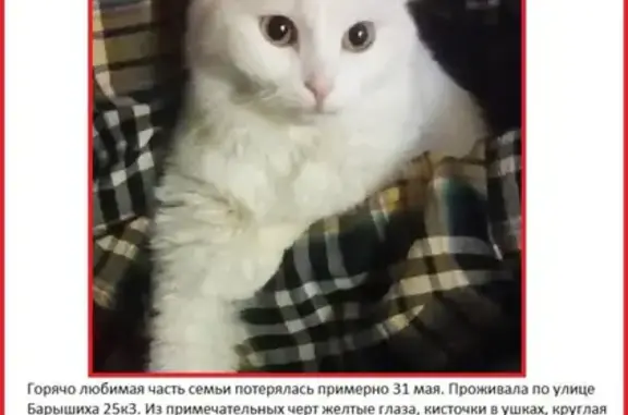 Пропала белая кошка, ул. Барышиха, 25 к3, Митино, Москва