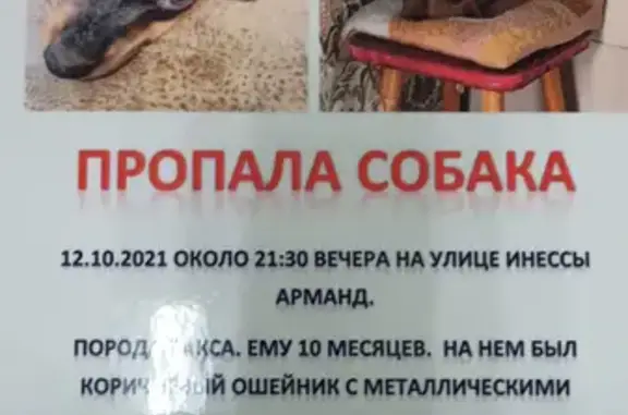 Пропала собака на Варварке, Москва