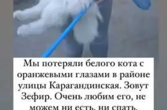 Найдена собака в Авиастроительном районе Казани