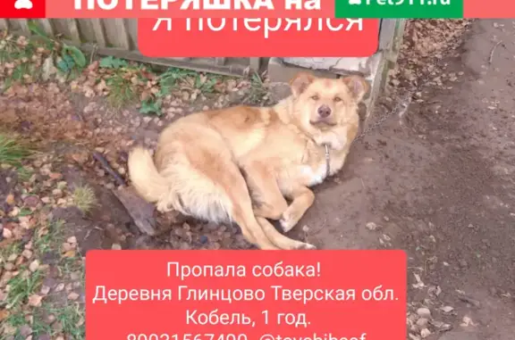 Пропала собака в Глинцово, Тверская область