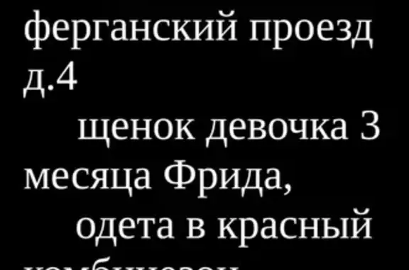 Пропала собака на Ферганском проезде, Москва