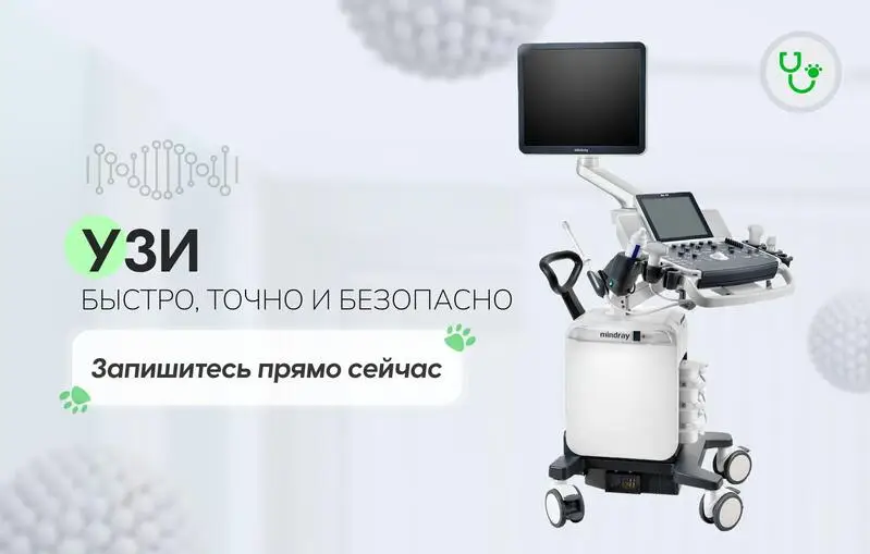 Хвостатая помощь