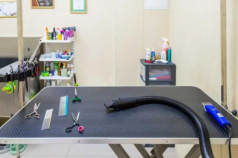 Лапусики, зооцентр