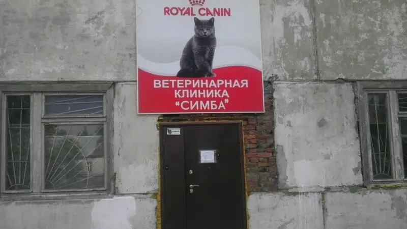 Симба, ветеринарная клиника