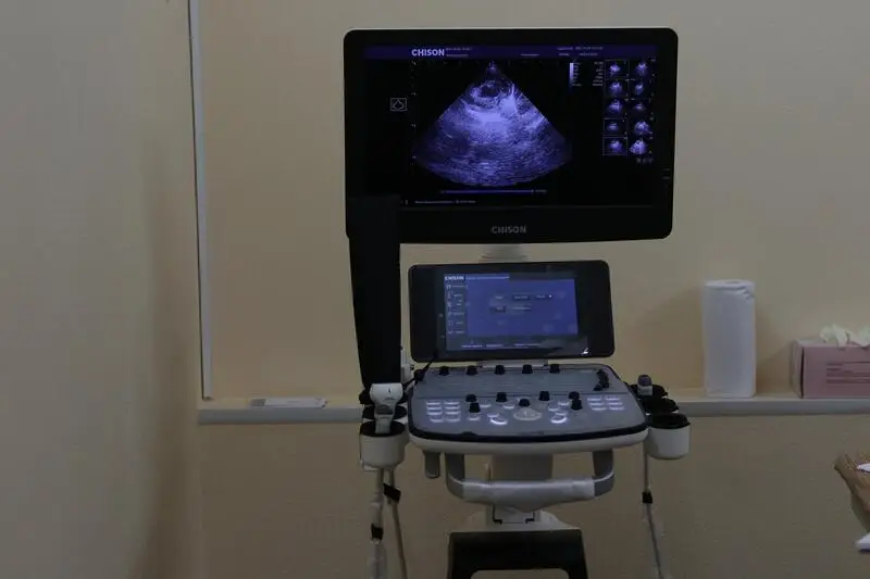 Энималз, ветеринарная клиника