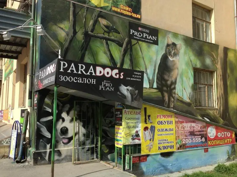 Зоосалон PARADOGs на улице Чапаева