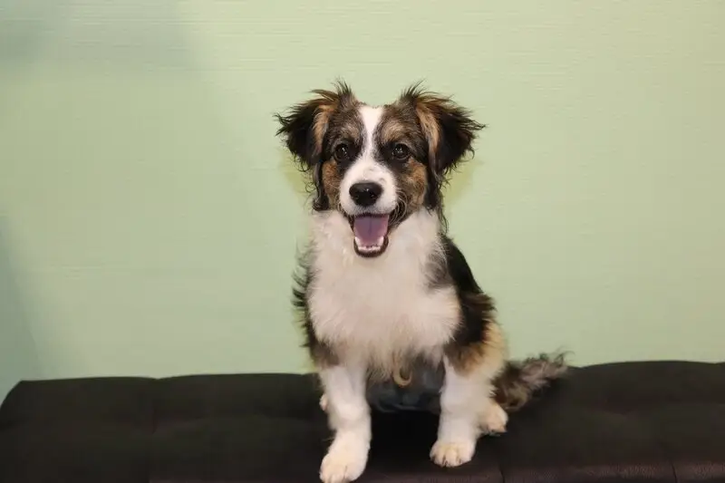 Зооцентр Ковчег