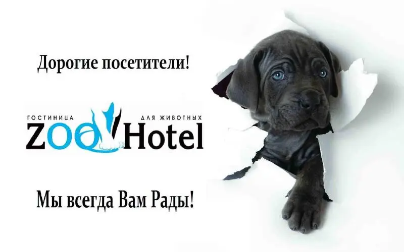 Гостиница для животных ZooHotel на Рязанской улице