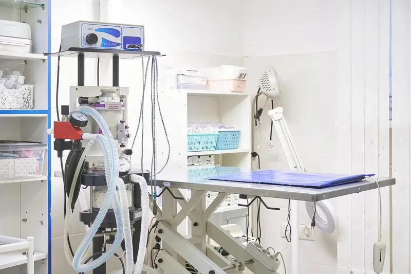 Природа, ветеринарный центр