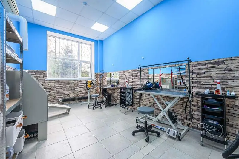 Зоосалон GroomWild