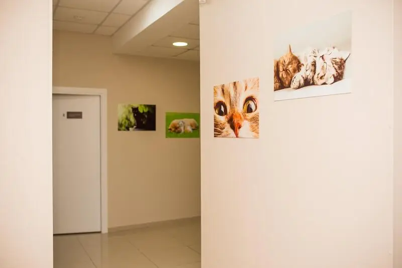 Зверополис, ветеринарная клиника