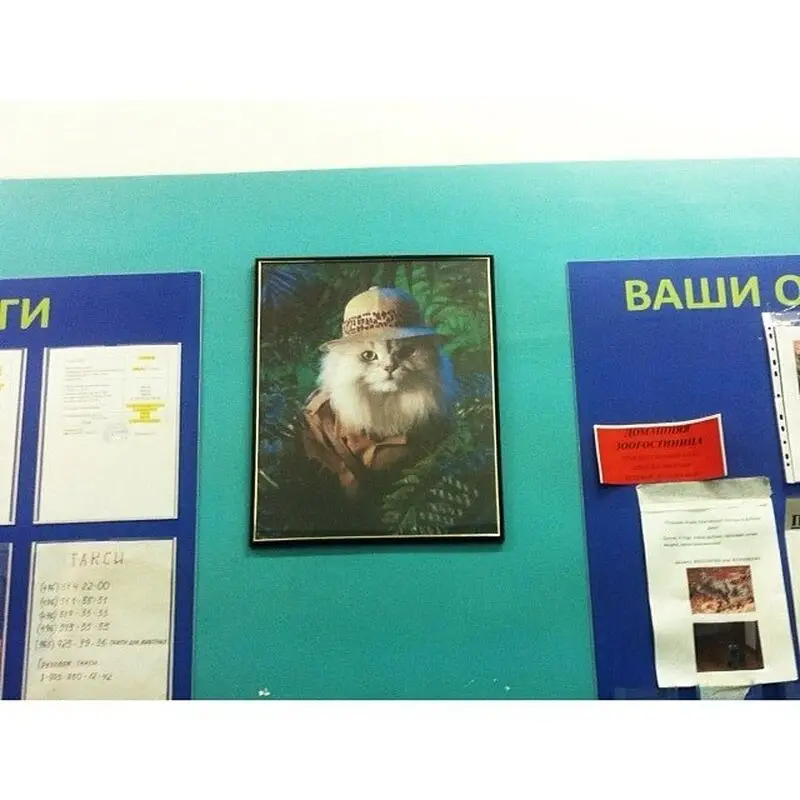 Бастис, ветеринарный центр