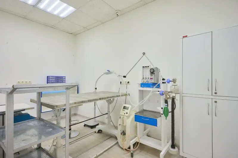 Евровет, ветеринарный центр