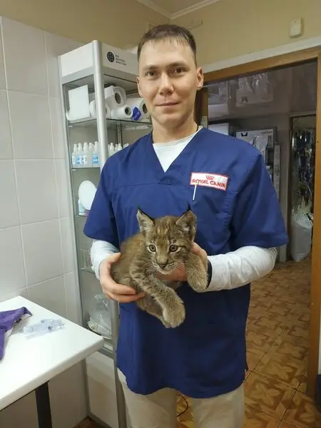 Здоровье, ветеринарный центр
