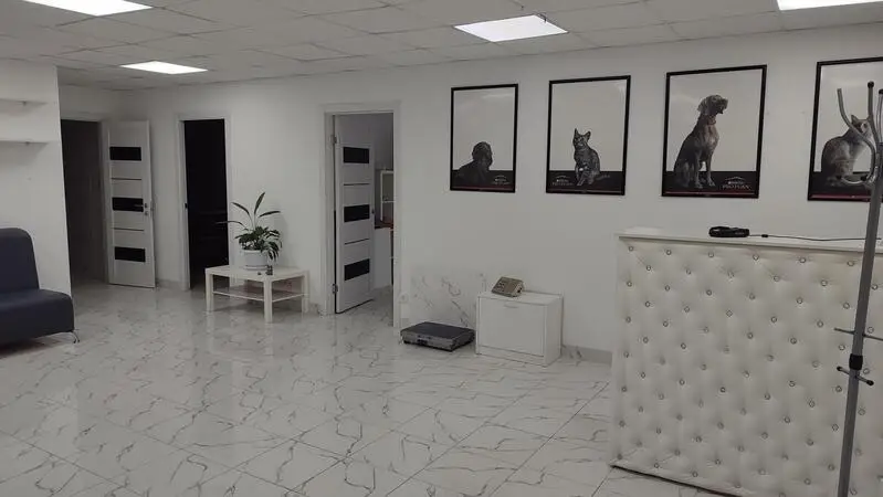 Питомец, ветеринарная клиника