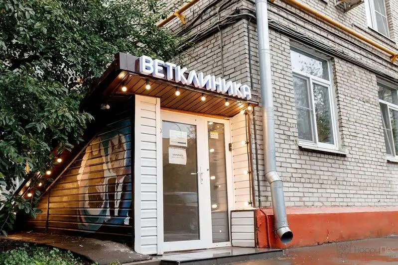 HappyПёс, ветеринарная клиника