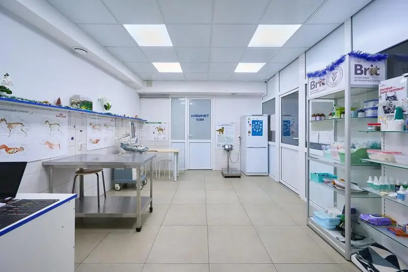 Динго, ветеринарная клиника