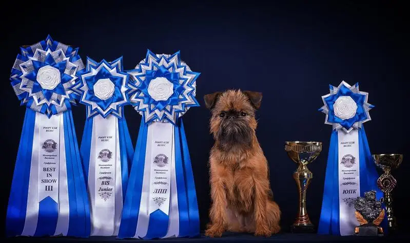 Груминг-салон Dog Style