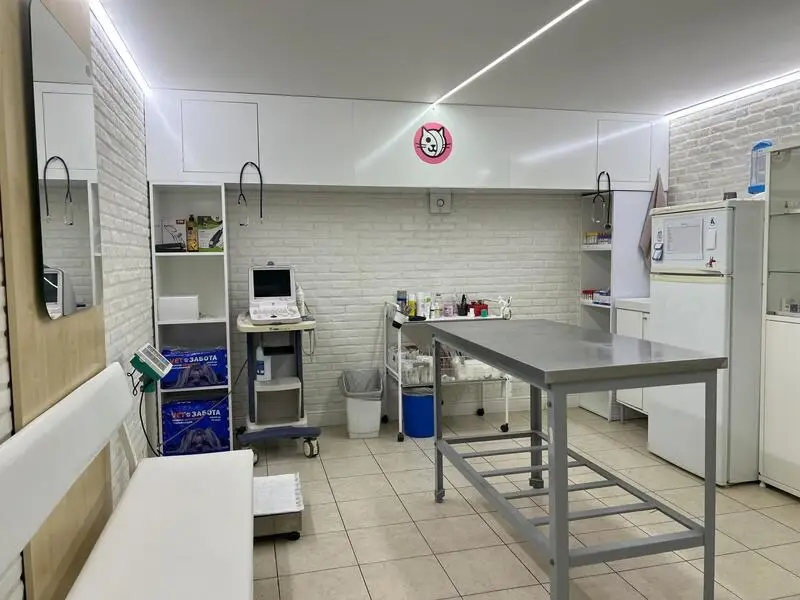 Котовет, ветеринарная клиника