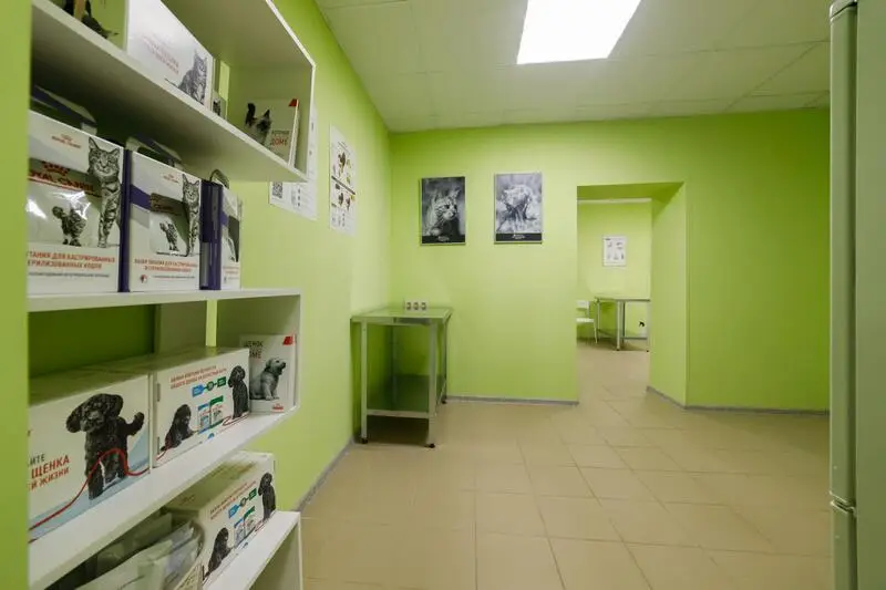 Амадеус, ветеринарная клиника