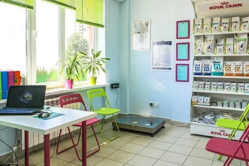 Четыре Лапы, ветеринарная клиника