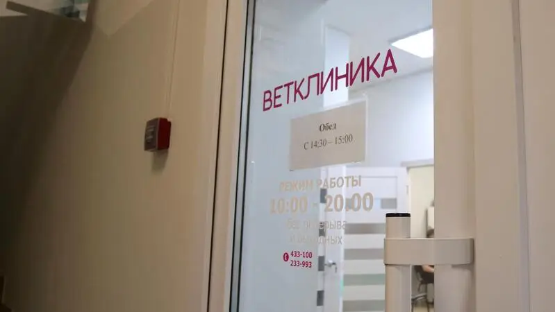 Vetlife, Ветеринарная клиника