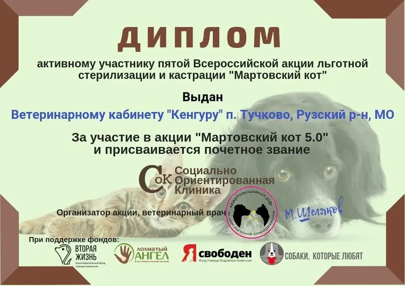 Кенгуру, ветеринарный кабинет