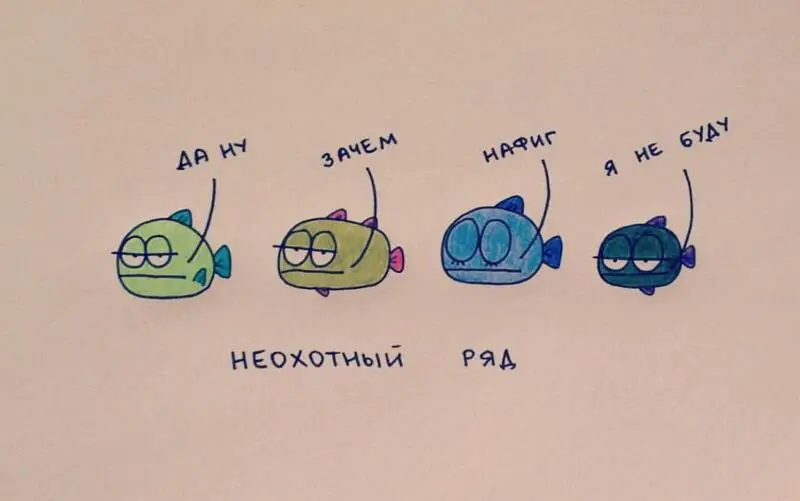Красный лис, ветеринарный центр