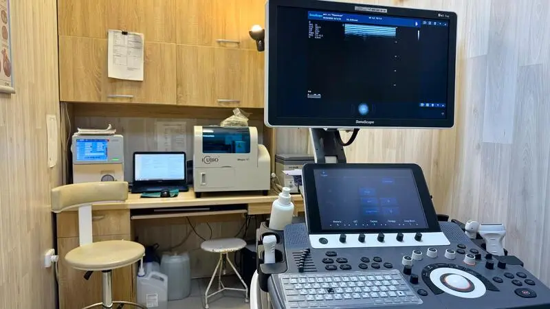 Надежда, ветеринарная клиника