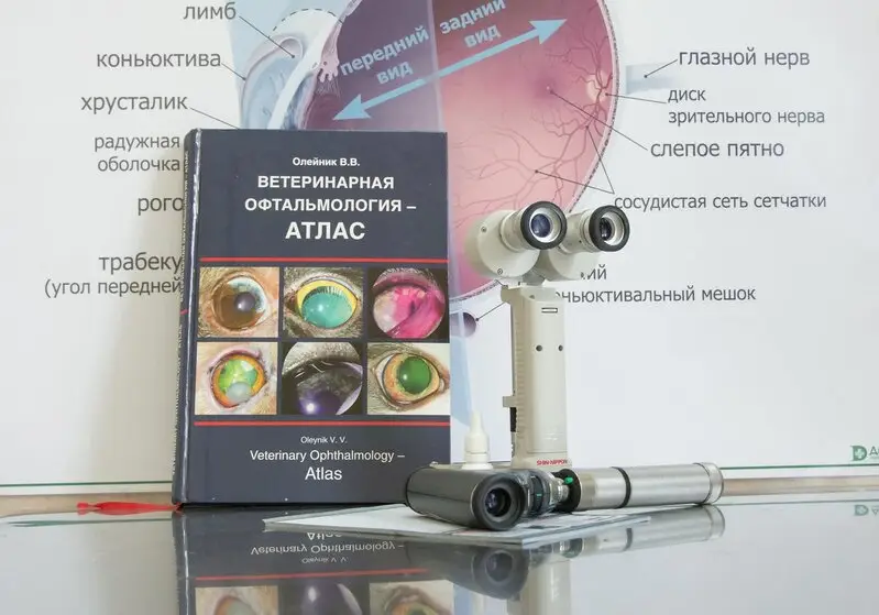 Ветеринарный центр глазных болезней доктора Олейник на улице Чекменёва, 16/2