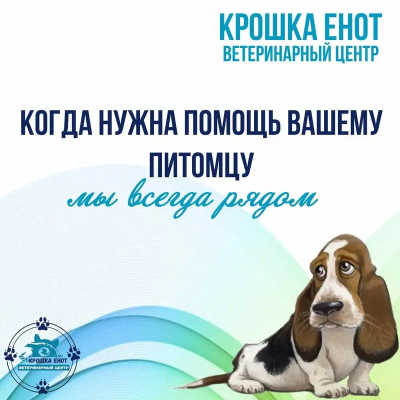 Ветеринарный центр «Крошка Енот» на Садовой улице