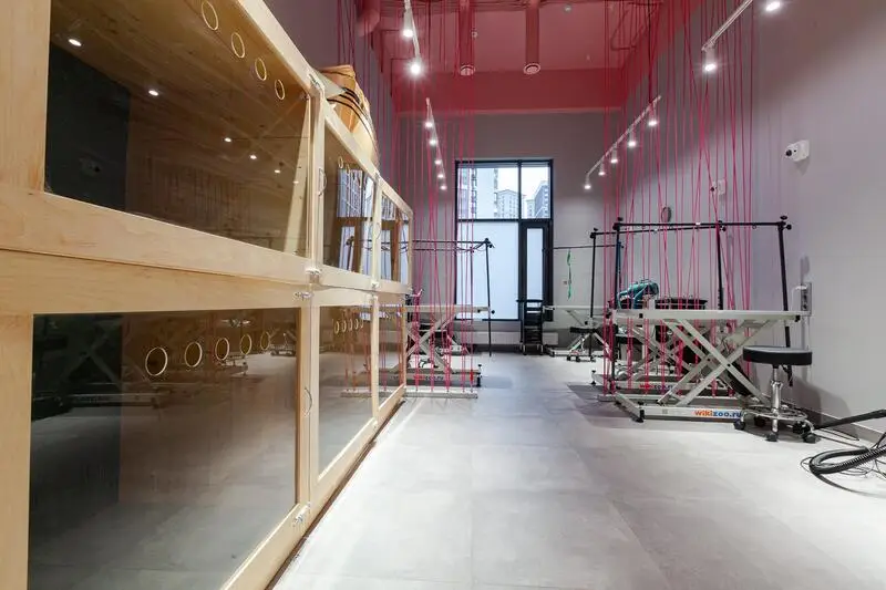 Груминг-салон Dog`s plan