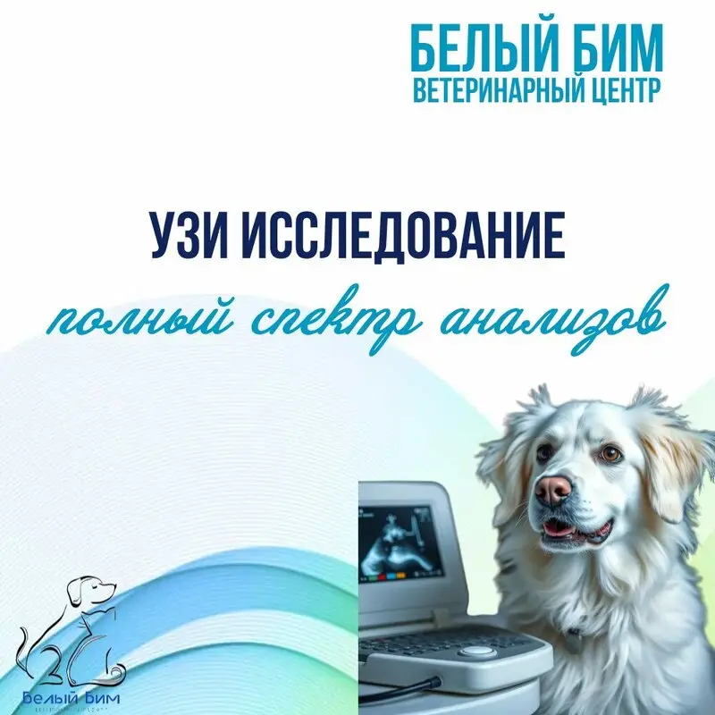 Ветеринарный центр Белый Бим на метро Московская