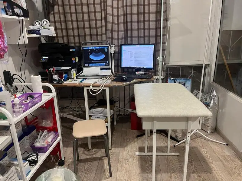 Питомец, ветеринарная клиника