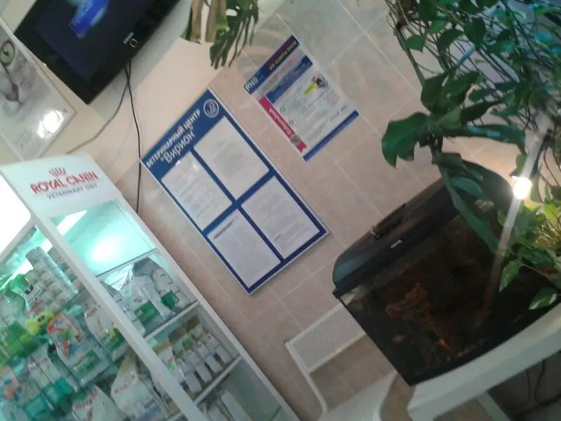 Вирион, ветеринарный центр