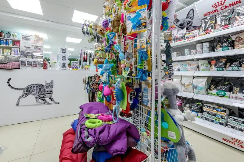 Вега, ветеринарная клиника