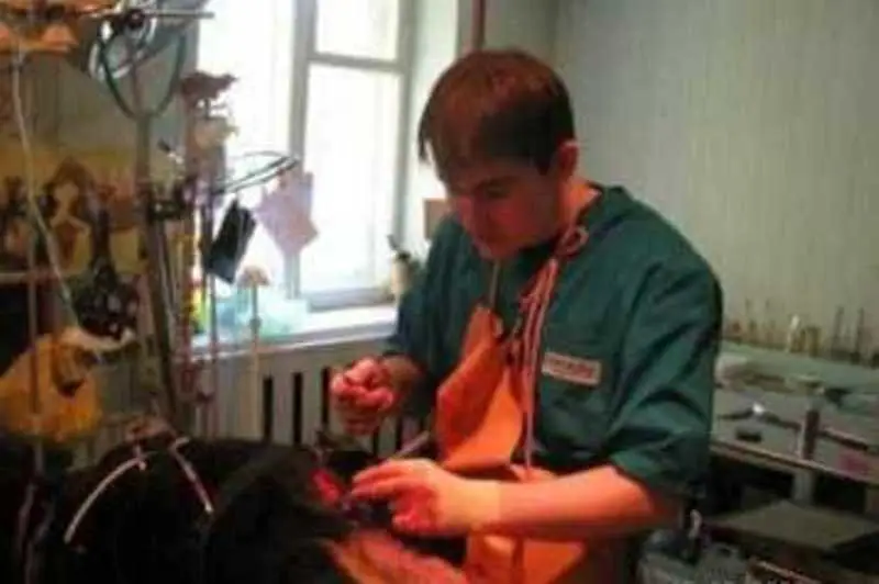 Эллипс, ветеринарная клиника