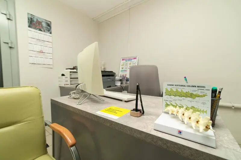 Ветеринарная клиника Клевер