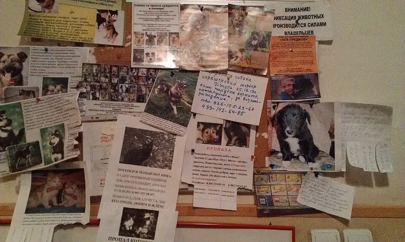 Мовет, ветеринарная клиника