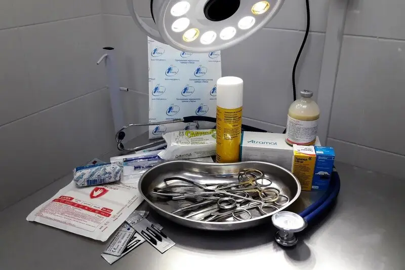 ВетЭра, ветеринарная клиника