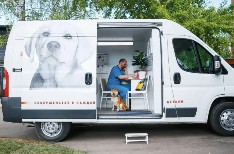 Ветеринарная клиника Zoomir на улице Грибоедова в Пушкино