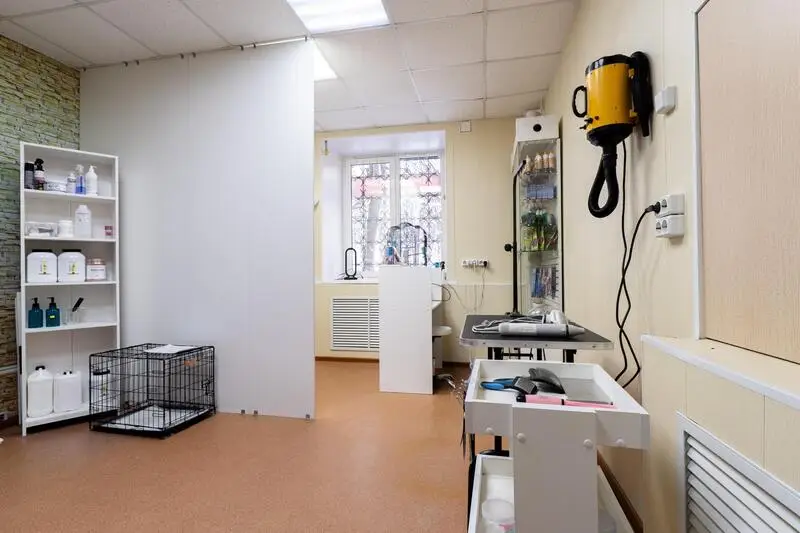 Зоосалон Pro Grooming Dogs