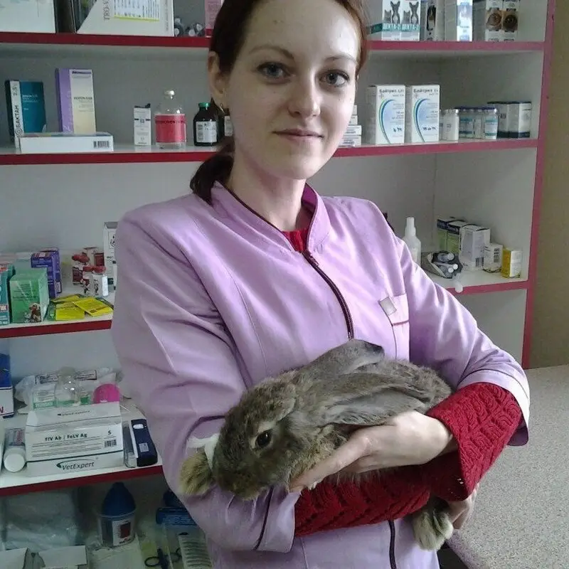 Альфа, ветеринарная клиника