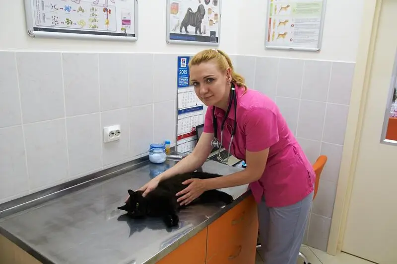 ВотВЕТе, ветеринарный центр