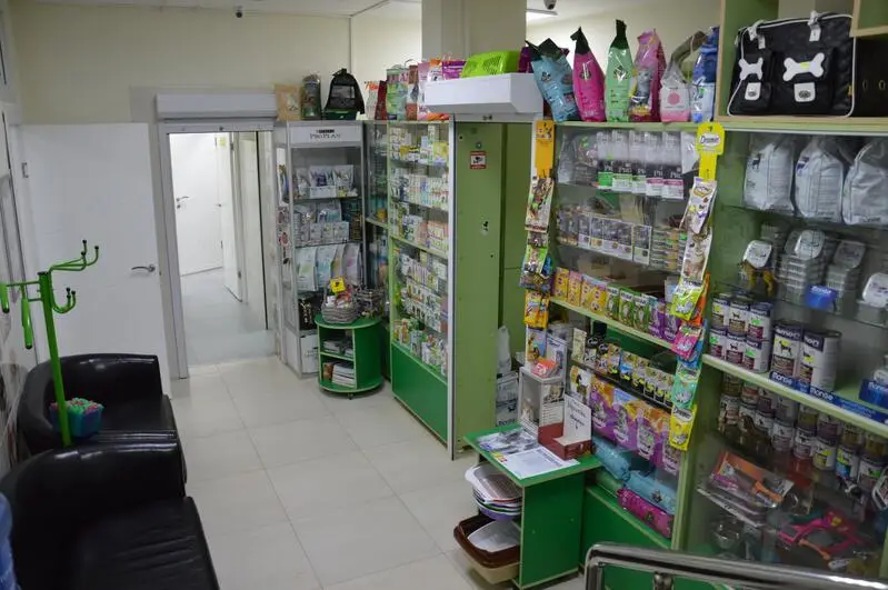 Панда+, ветеринарная клиника