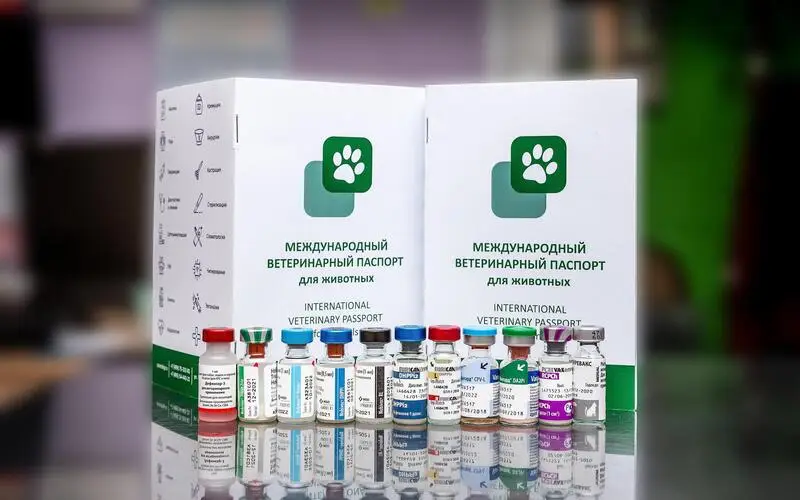CatVetDog, ветеринарная клиника