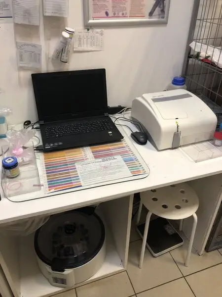 Леопольд, ветеринарная клиника